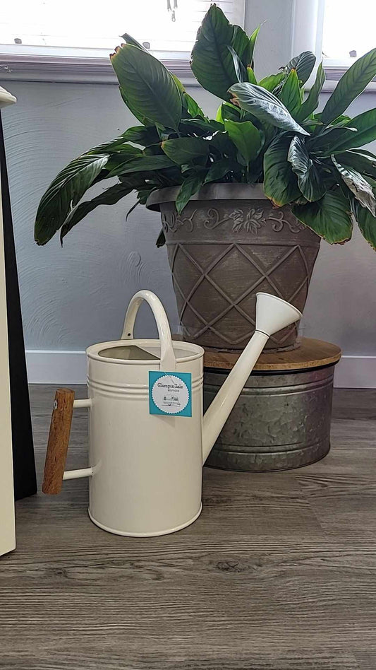 FF-Cream Watering Can