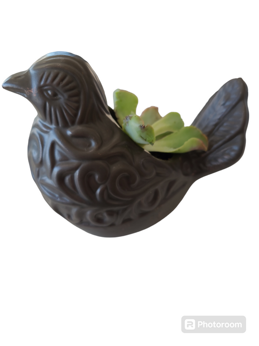 FF- Bird planter