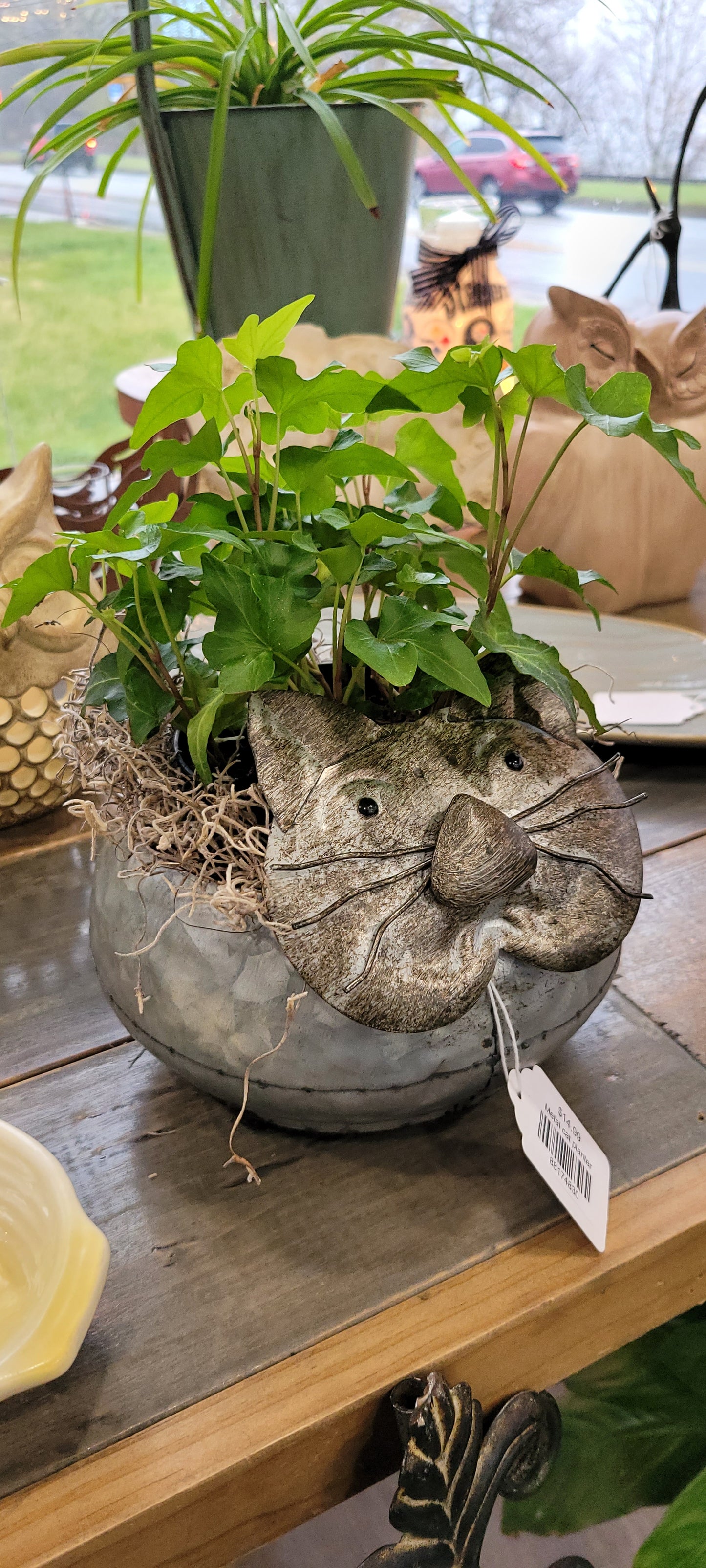 Metal cat planter